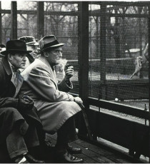 Intently watching the platform tennis action at Fox Meadow Tennis Club